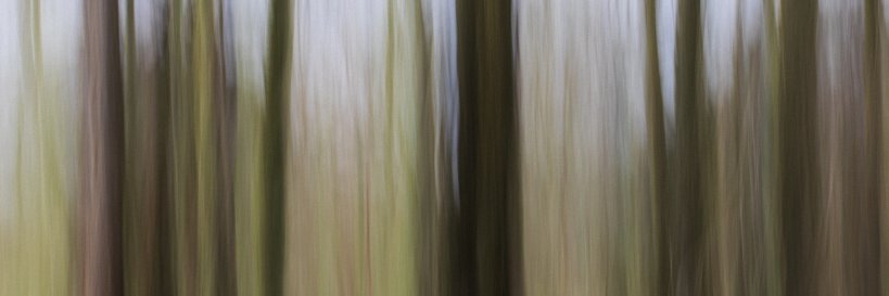 pittypomm's profile banner image