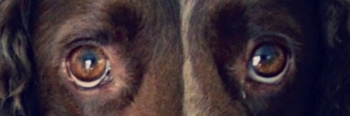 joc303's profile banner image
