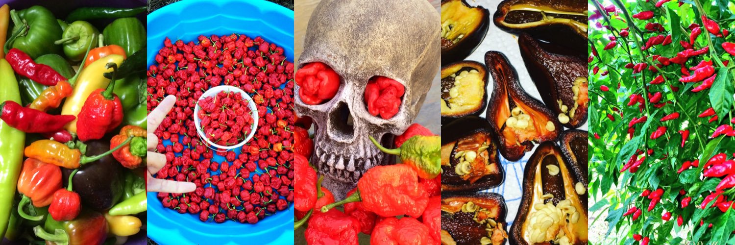 ©SpellcastPeppersLLC banner