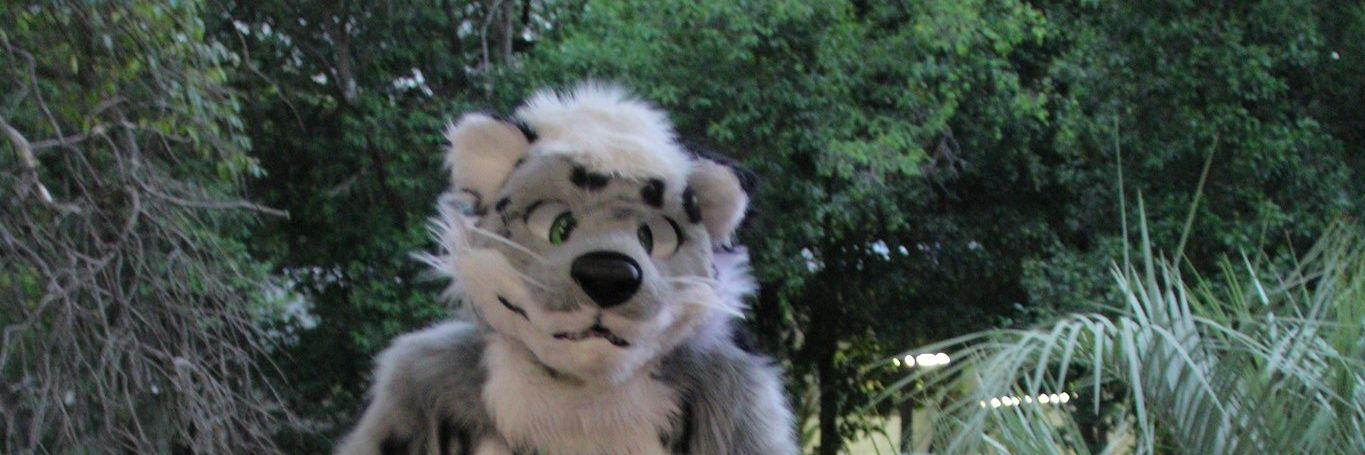 🐾Shiro🐾Snep🐾 banner