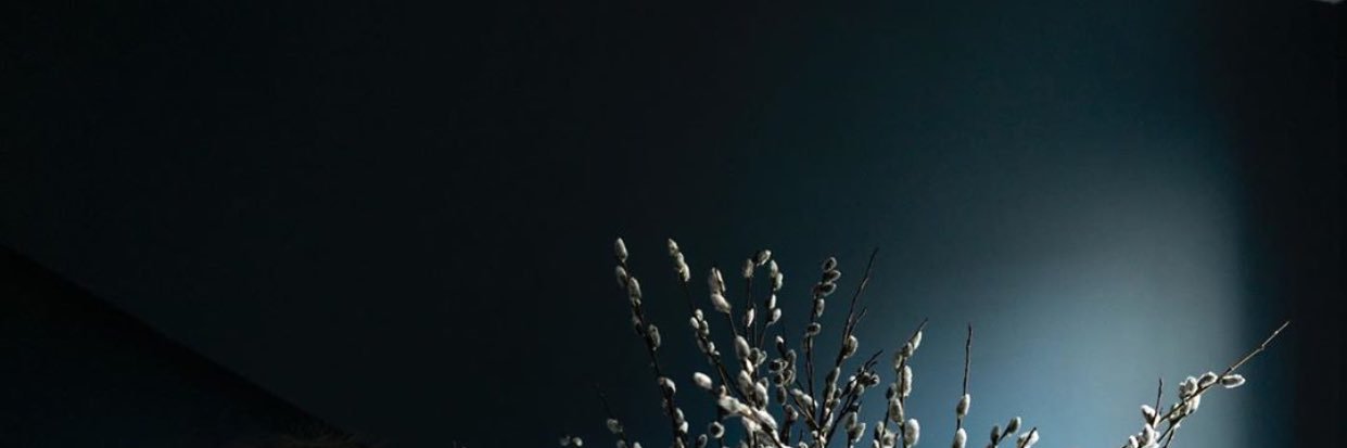 taimurrashid's profile banner image