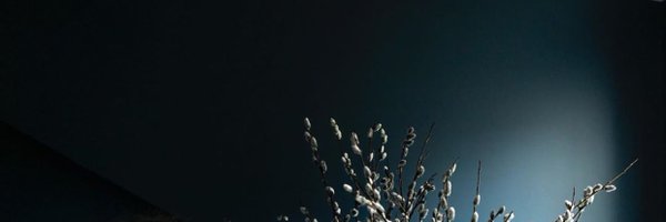 taimurrashid Profile Banner