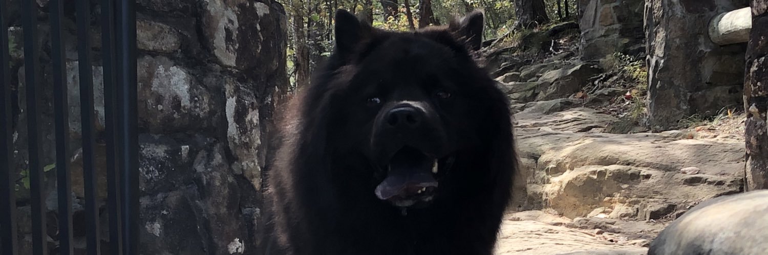 Jacques P. Hebert banner