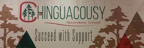 chinguacousyss's profile banner image