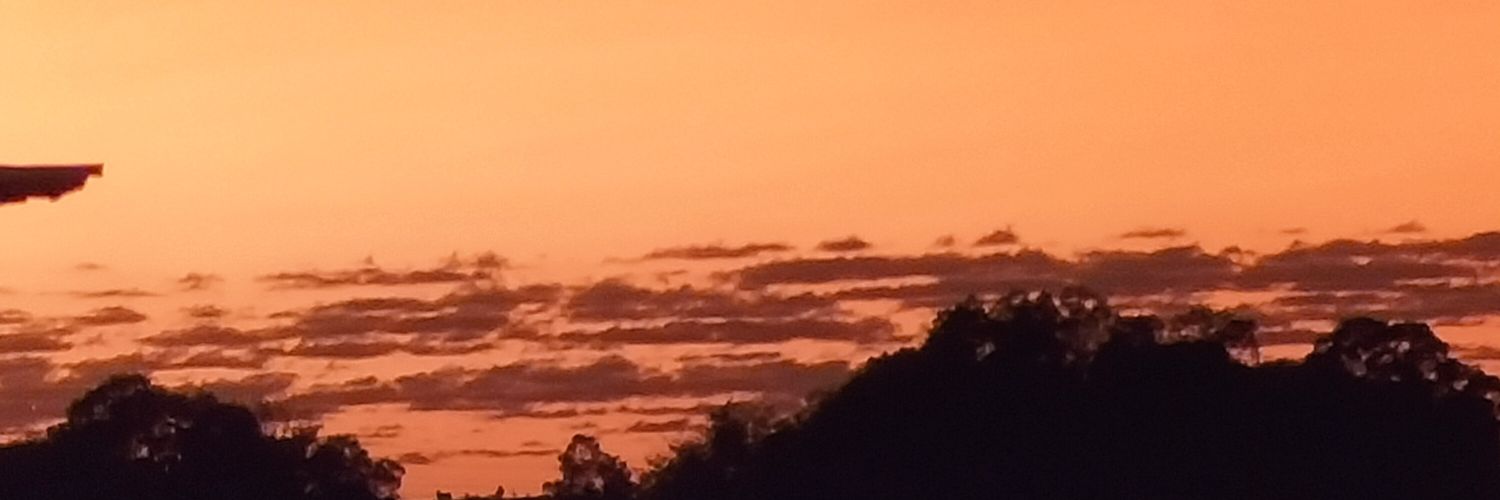 TOUGIEDAA's profile banner image