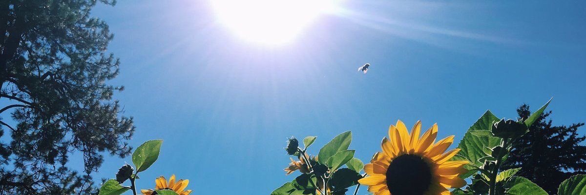RandsBandit's profile banner image