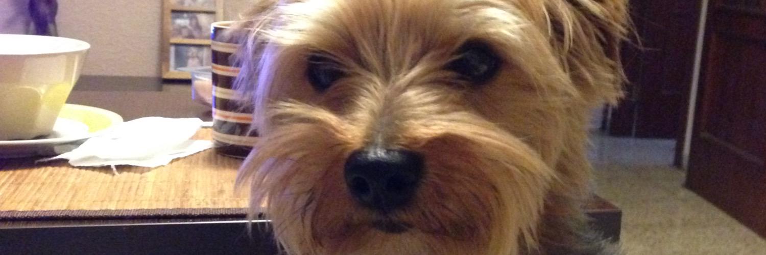 Jose  Sanchez banner