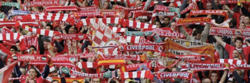 Liz Cunningham banner