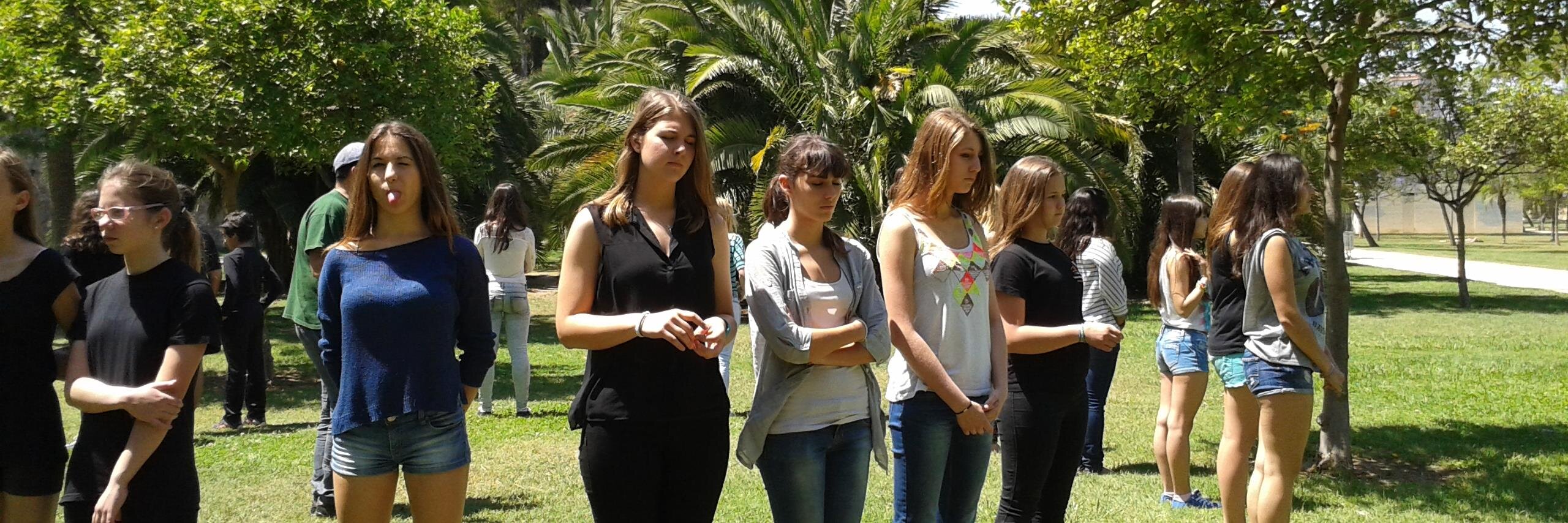 grupoDrao's profile banner image