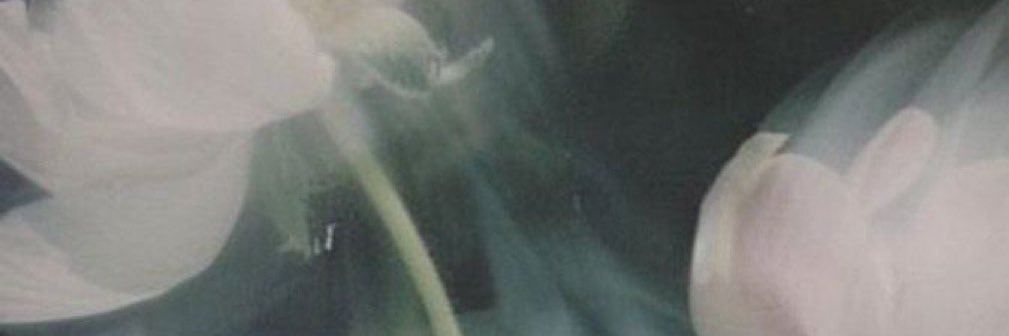 inajat_7's profile banner image