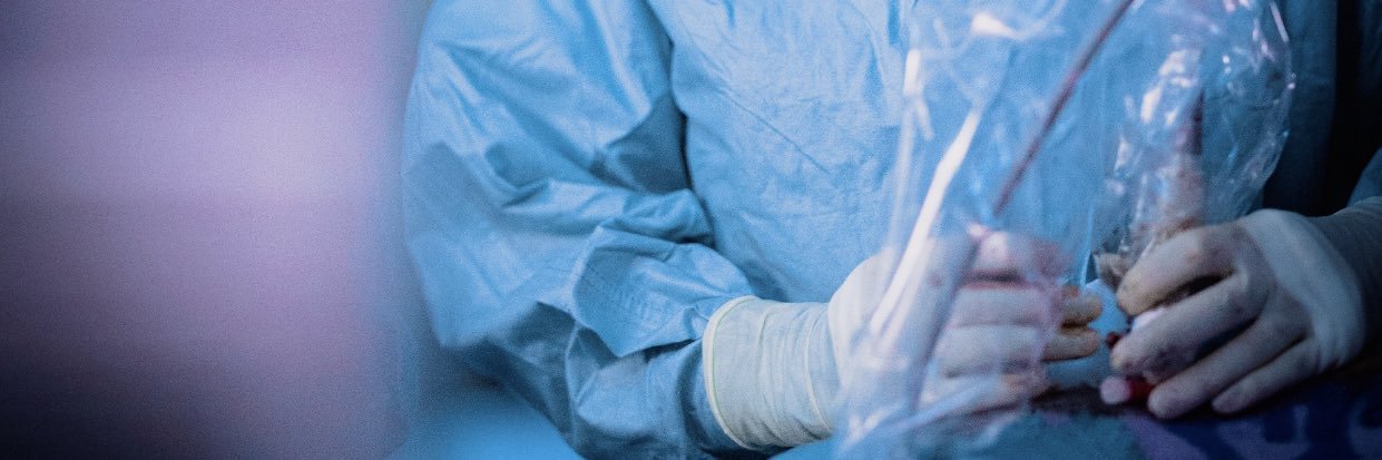 Flavia Gentile Johansson banner