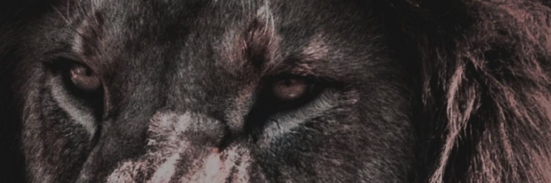 emmanuel_ped's profile banner image
