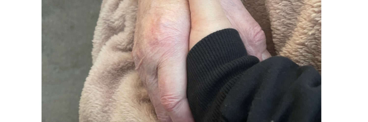 mollsjohnson's profile banner image