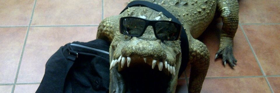 LoverAlligator's profile banner image