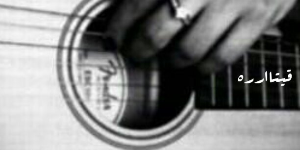 3126394's profile banner image