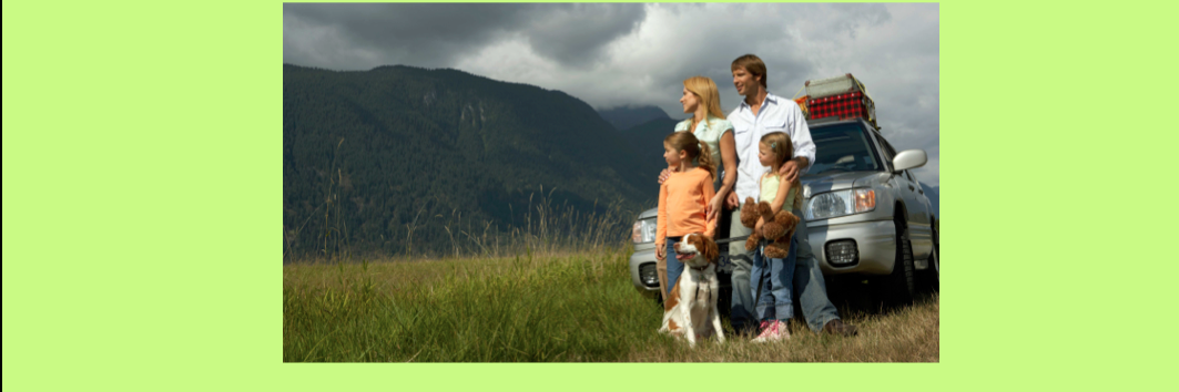 xcDogs (x-country) banner