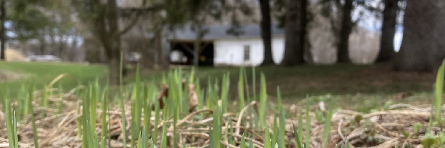 pegmckanna's profile banner image