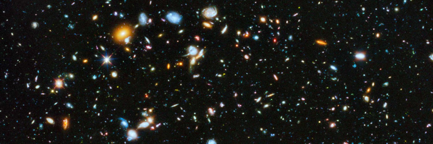 Barry Bollocks banner