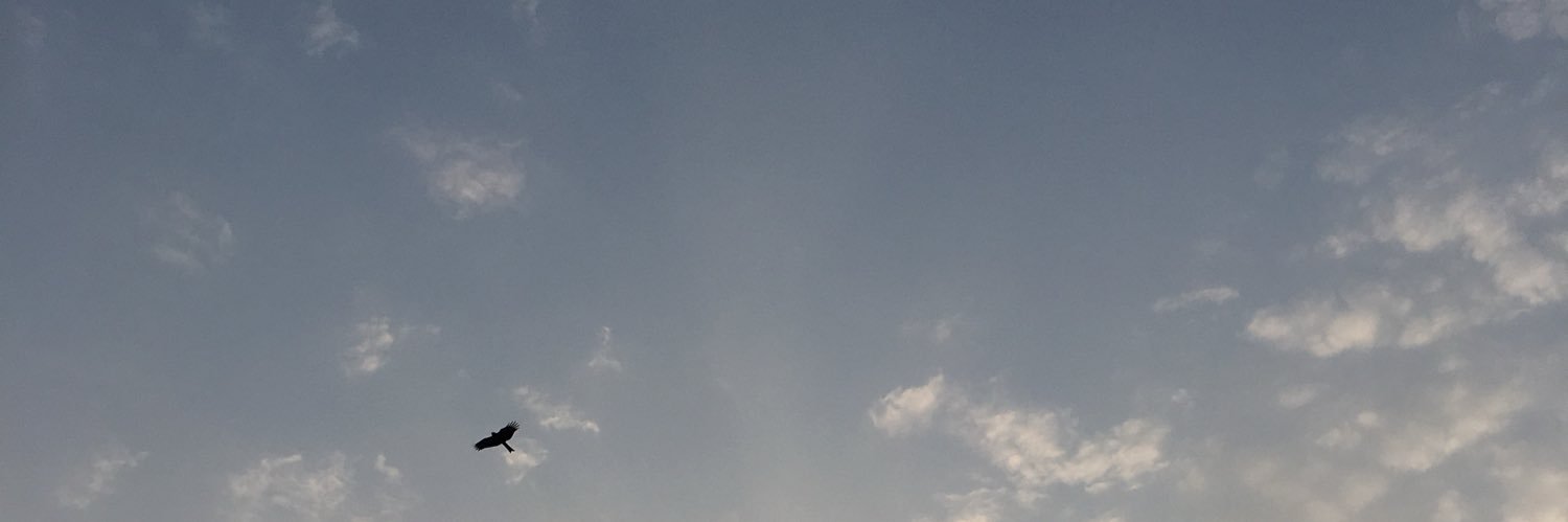 spikebel's profile banner image