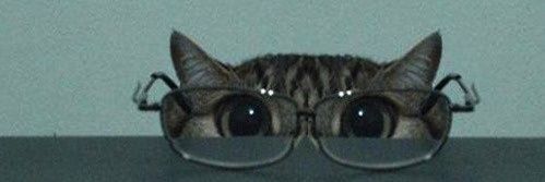 cornhholio's profile banner image