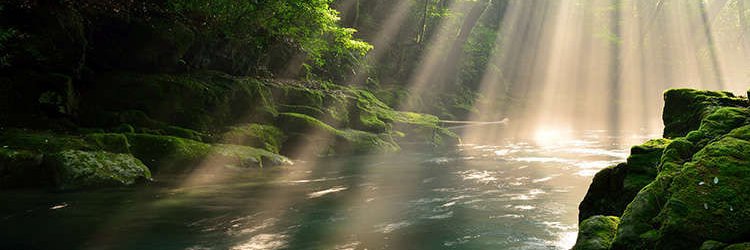 yanyung1's profile banner image