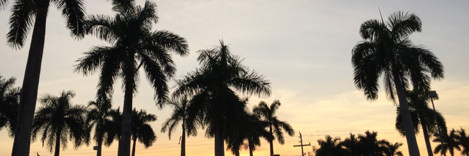 laureentopper's profile banner image
