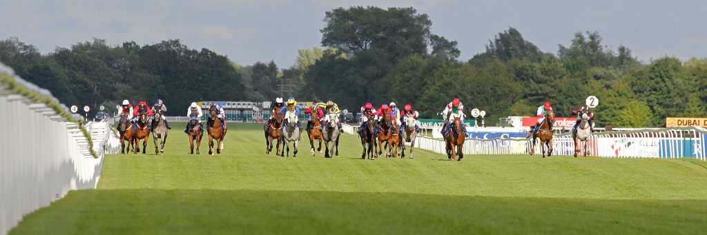 Dubai Int Arab Races banner
