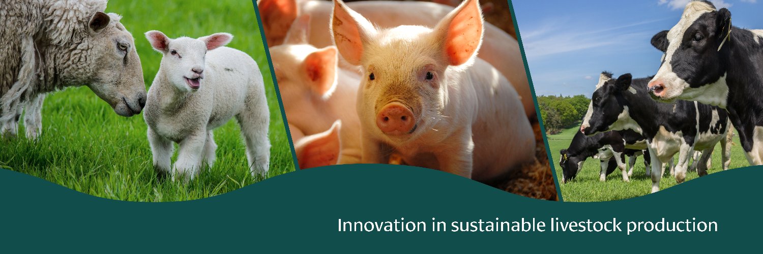 RAFT Solutions Ltd banner