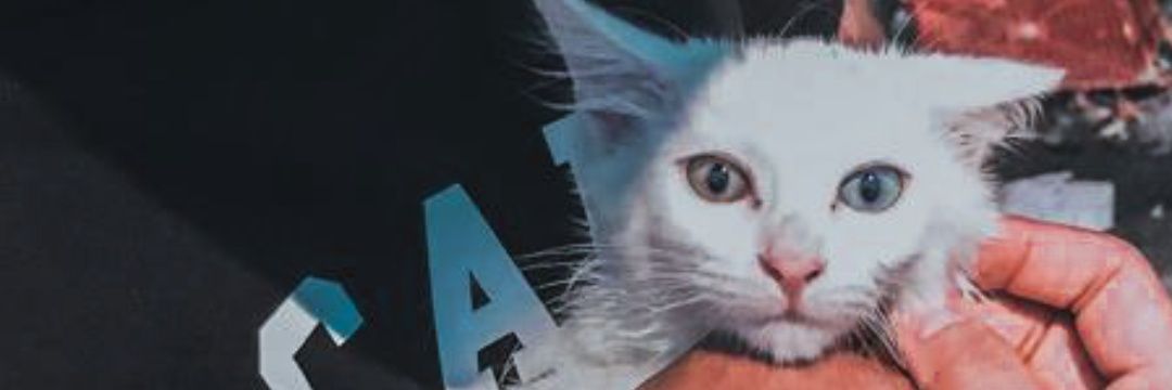 afi7seven's profile banner image