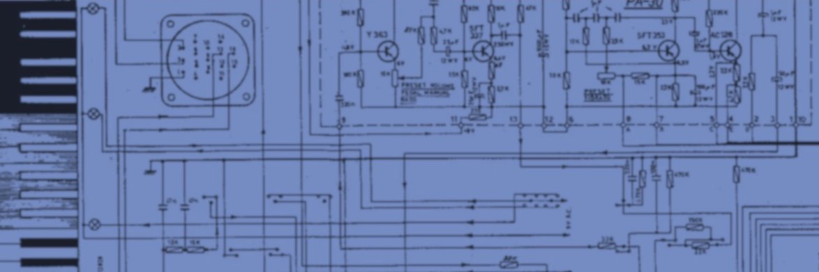 Jessica Kelly 🌐 banner