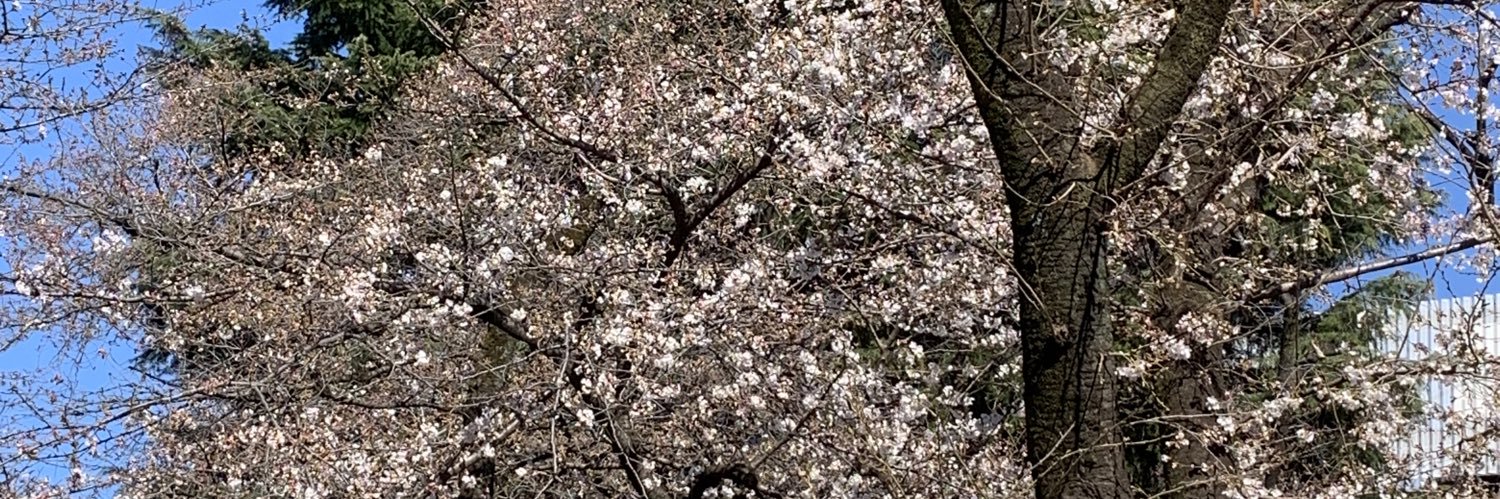 powerfulrun22's profile banner image