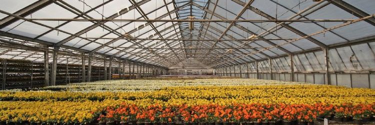 Boom in Business banner