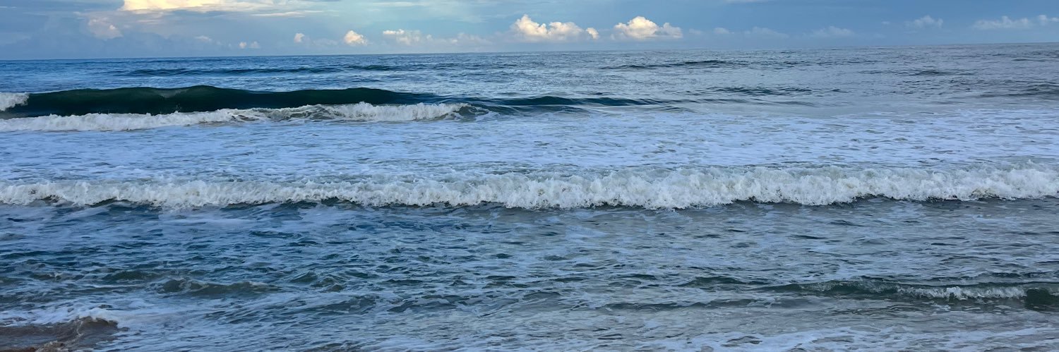 Beachnut banner