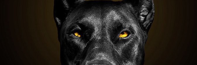BuildBeo's profile banner image