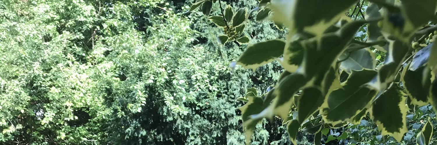 Muhunnid's profile banner image