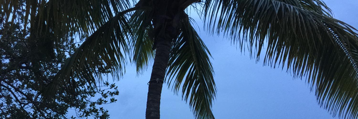 ginalouCB's profile banner image