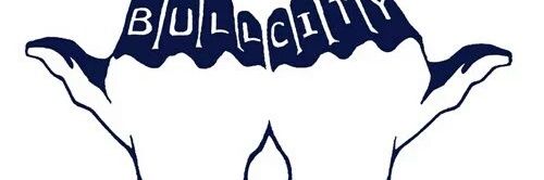 BullCity Mayor 919💧.. banner