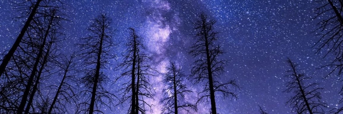 IndigenousIkwee's profile banner image