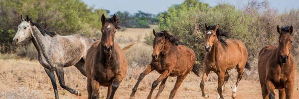 Mauritzfontein Profile Banner