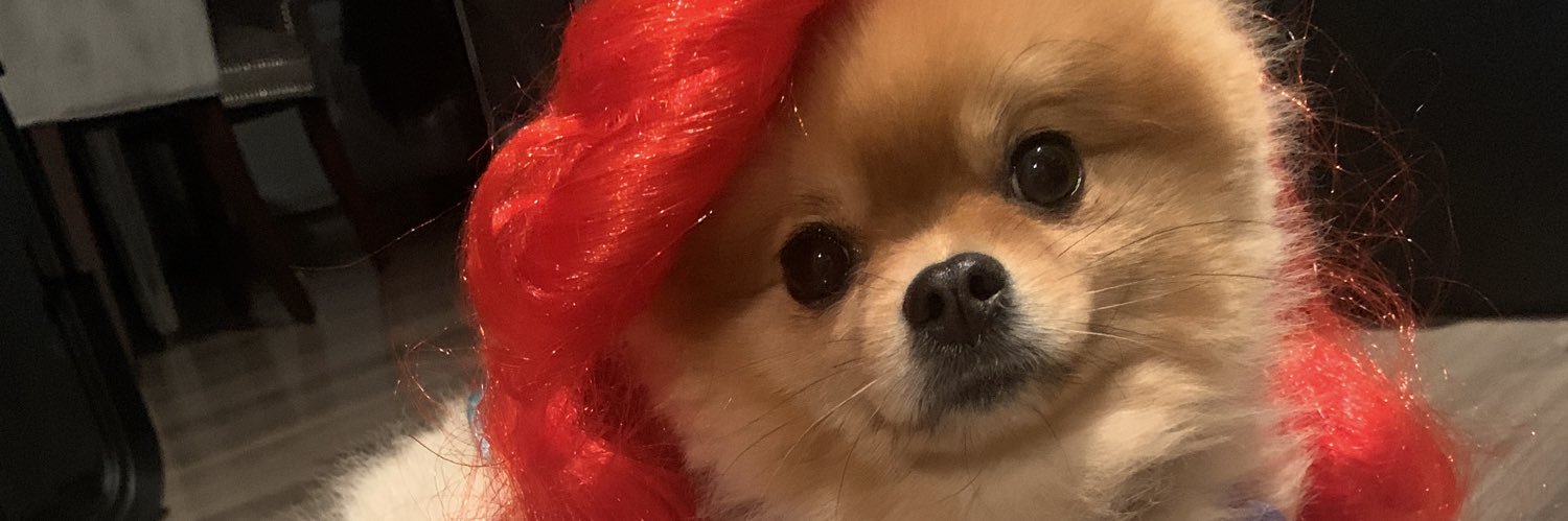 MelloKitty's profile banner image