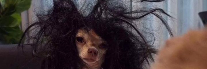 HOUSEwife💦 banner