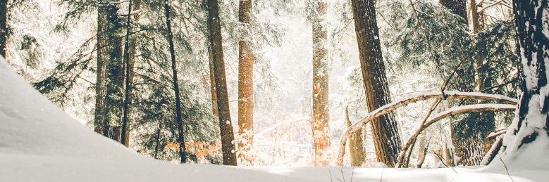 lisbetchhh's profile banner image