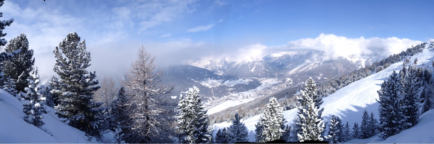 Surbiton Ski Racing banner