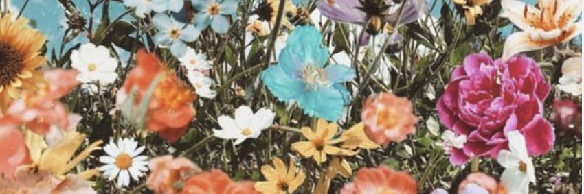 charlicottrell's profile banner image