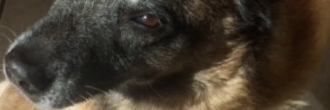benedettipbb's profile banner image