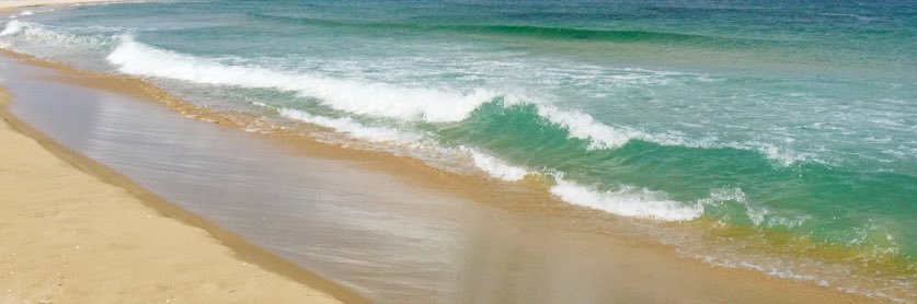 image banner