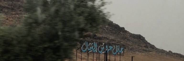IINS_ll's profile banner image