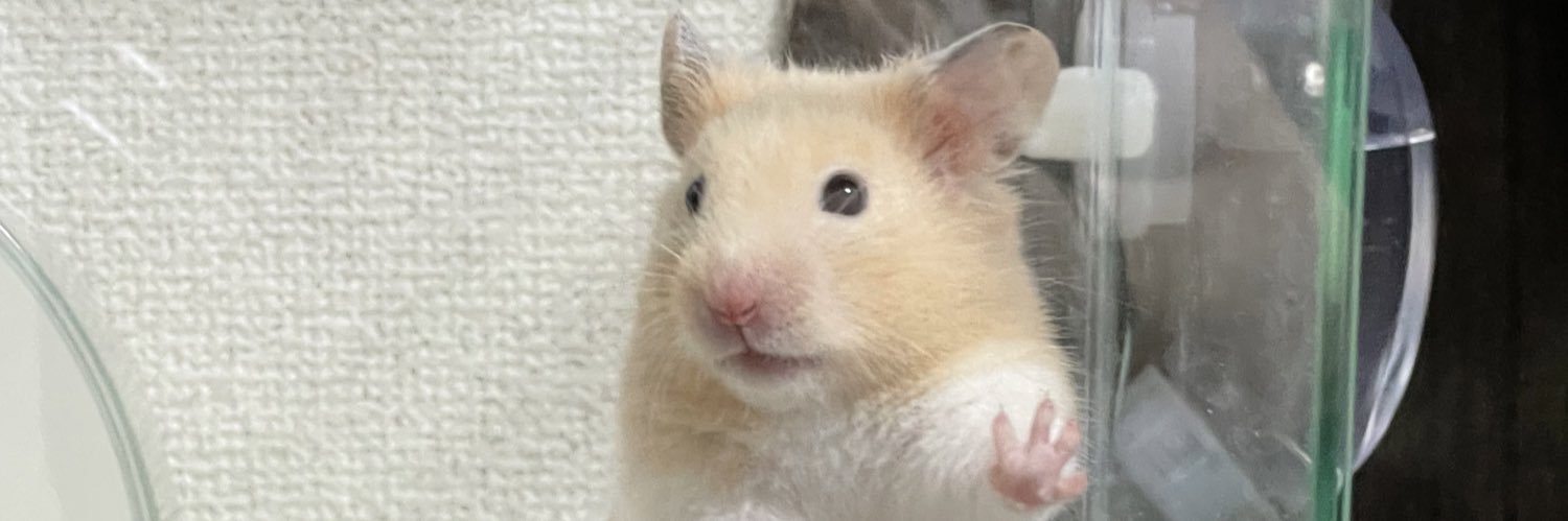 ewhmch's profile banner image