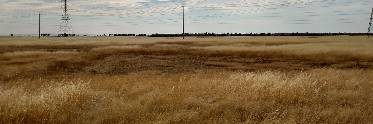 Carson Damron banner