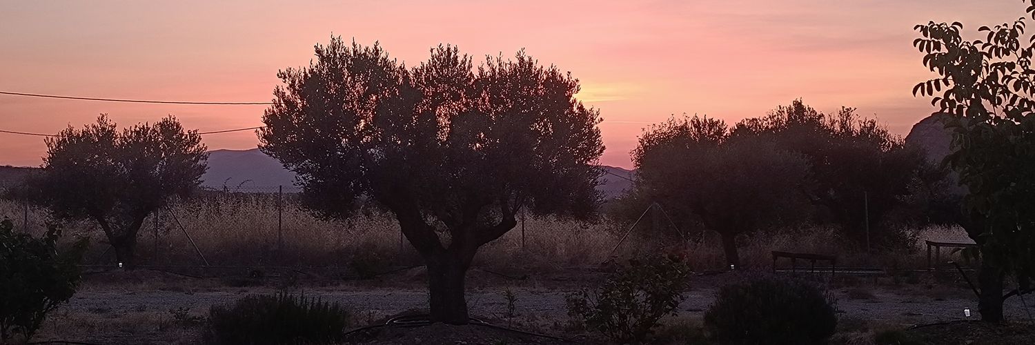 inma9735's profile banner image